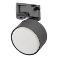 Точечный светильник для 1-фазной трековой системы AVIA 1xGX53/15W/230V черный