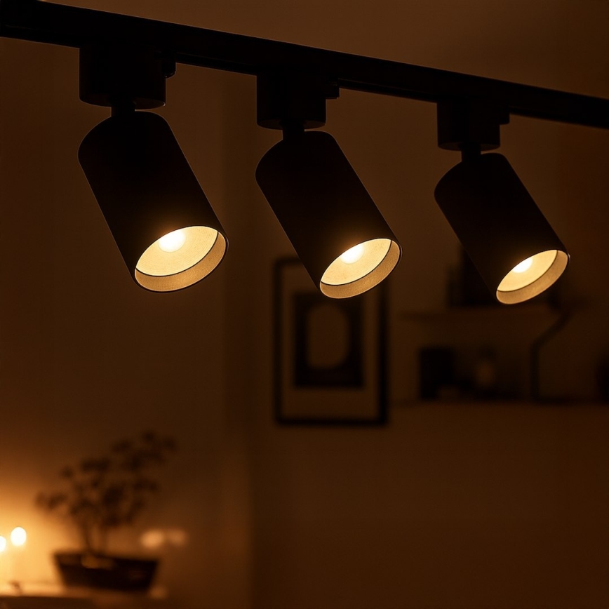 Точечный светильник для 1‑фазной трековой системы TIGER 1xGU10/10W/230V черный