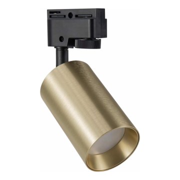 Точечный светильник для трековой системы MARIBEL 1xGU10/10W/230V золотистый