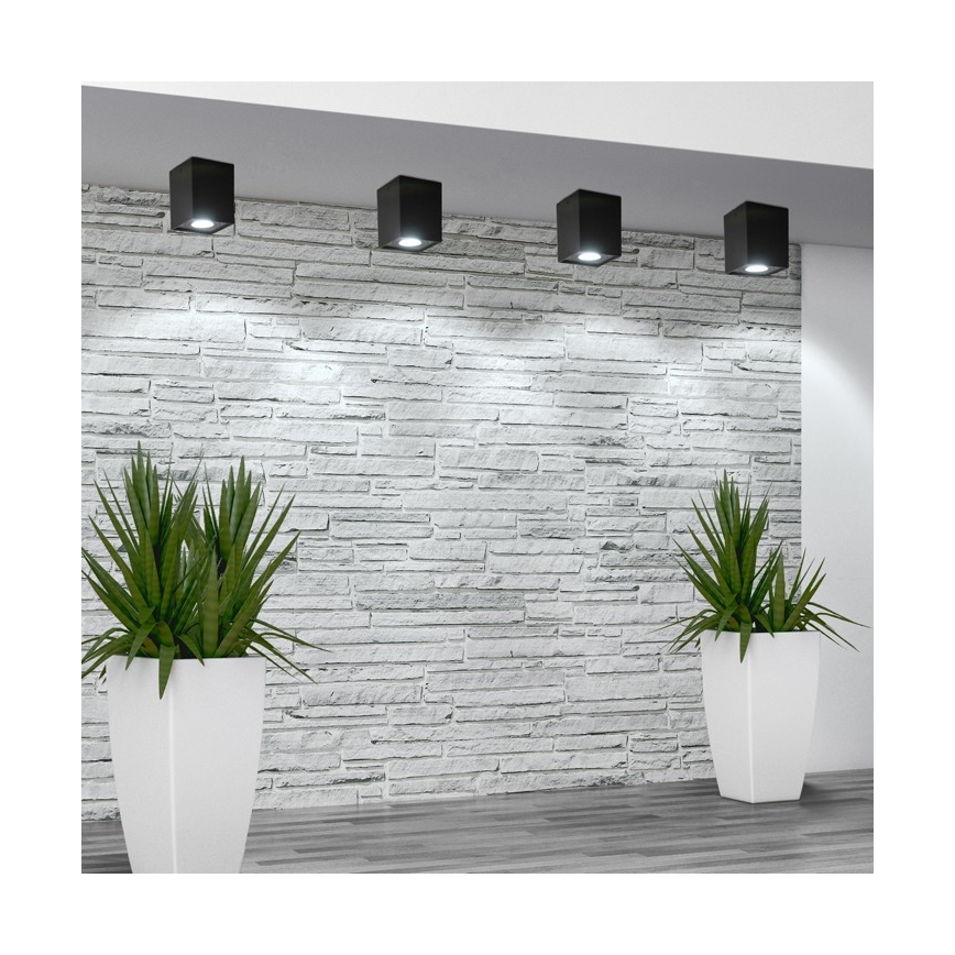 Точечный светильник HADAR Q1 1xGU10/10W/230V черный