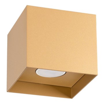 Точечный светильник HATI 1xGU10/10W/230V золотистый