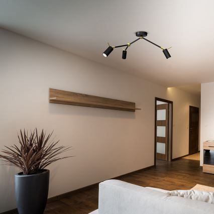 Точечный светильник IRIS 3xGU10/MR11/40W/230V черный/золотой