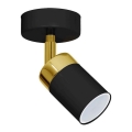 Точечный светильник JOKER 1xGU10/25W/230V черный/золотой