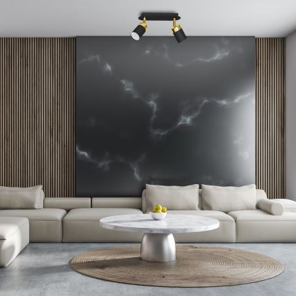 Точечный светильник JOKER 2xGU10/25W/230V чёрный/золотой