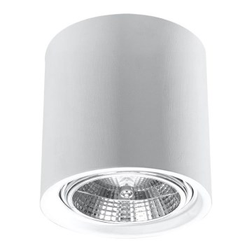 Точечный светильник KALU 1xGU10/ES111/40W/230V