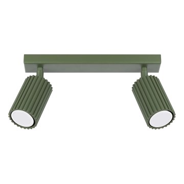 Точечный светильник KARBON 2xGU10/10W/230V зеленый