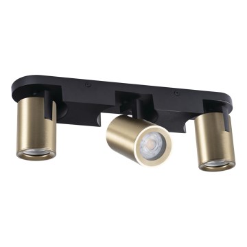 Точечный светильник LAURIN 3xGU10/10W/230V латунь/черный