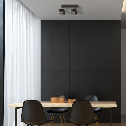 Точечный светильник LOGAN 2xE14/40W/230V