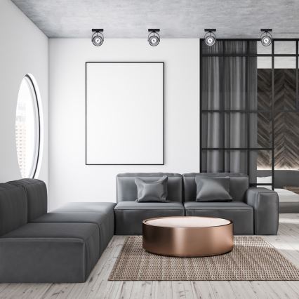 Точечный светильник LUGAR 1xAR111 - GU10/25W/230V