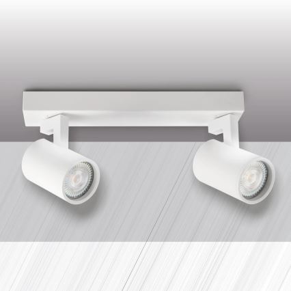 Точечный светильник LYNX 2xGU10/10W/230V белый