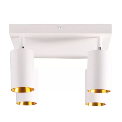 Точечный светильник MARIBEL 4xGU10/10W/230V белый