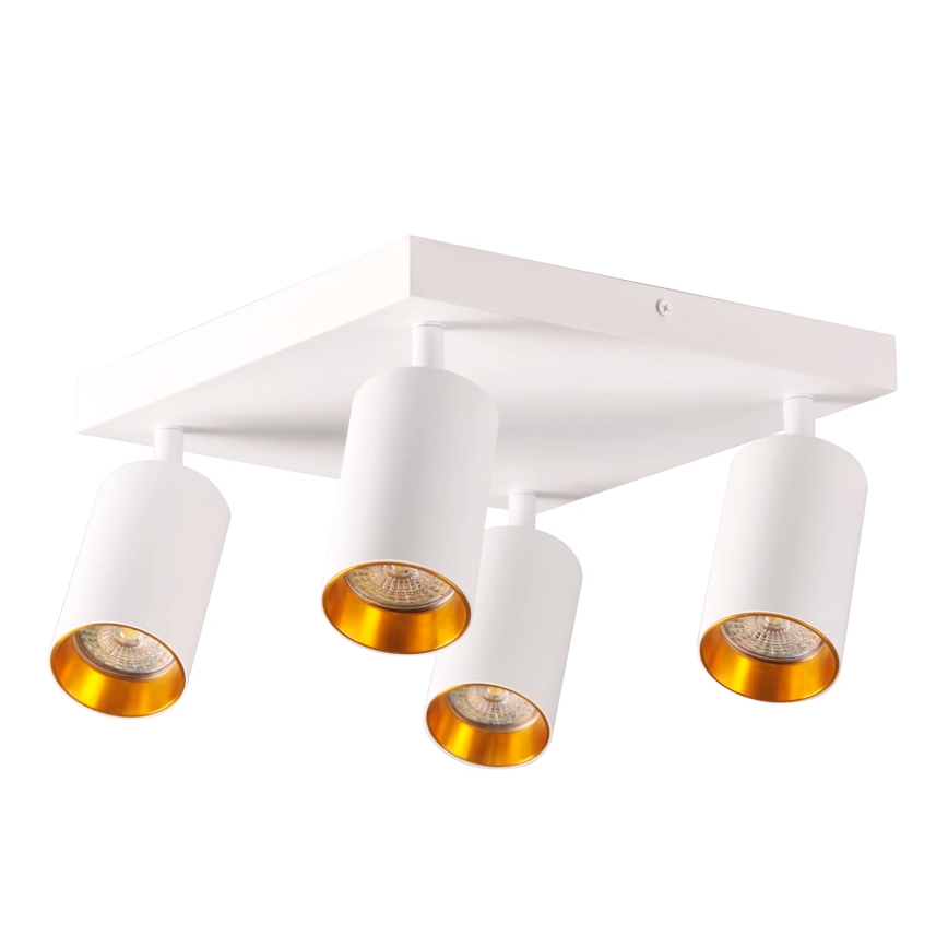 Точечный светильник MARIBEL 4xGU10/10W/230V белый