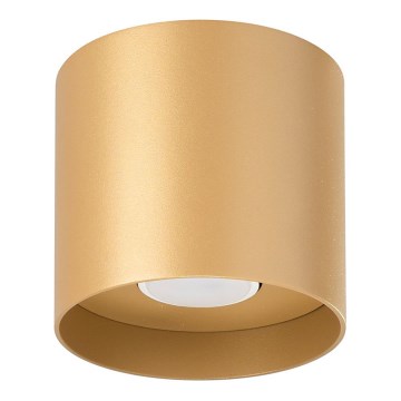 Точечный светильник MIKA 1xGU10/10W/230V золотистый