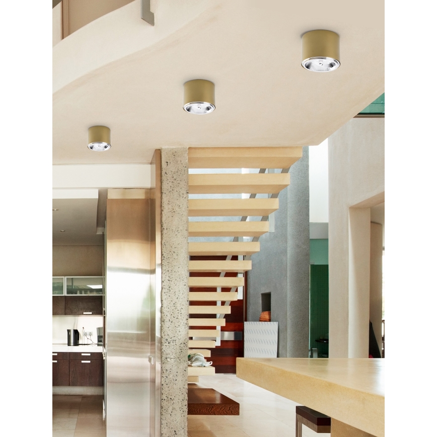 Точечный светильник MORIS 1xAR111 GU10/50W/230V золотой