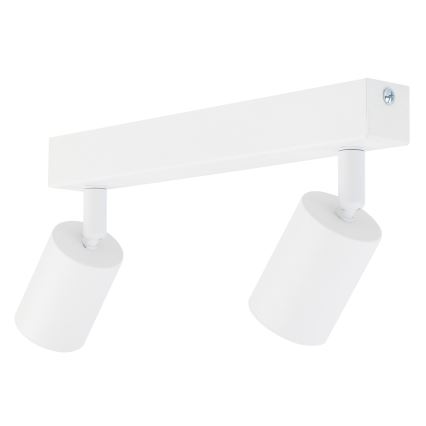 Точечный светильник NEX 2xGU10/10W/230V белый