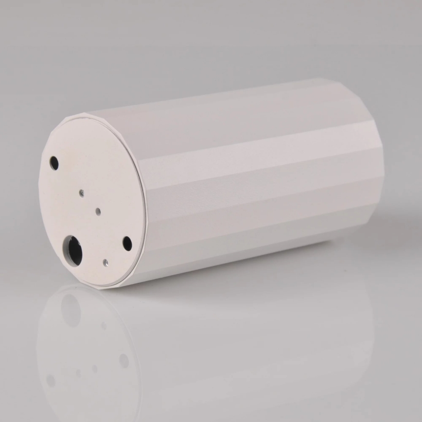 Точечный светильник NICEA 1xGU10/10W/230V белый