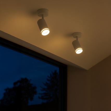 Точечный светильник PIPE 1xGU10/10W/230V белый