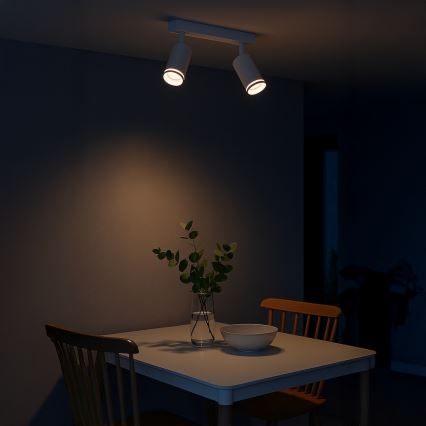 Точечный светильник PIPE 2xGU10/10W/230V белый