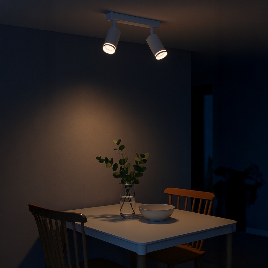 Точечный светильник PIPE 2xGU10/10W/230V белый