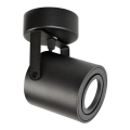 Точечный светильник PIREUS 1xGU10/30W/230V черный