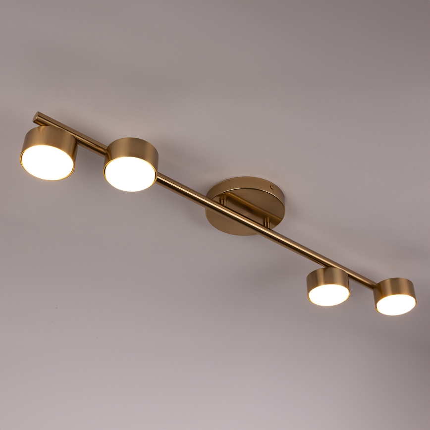 Точечный светильник PUNTO 4xGX53/12W/230V золотистый