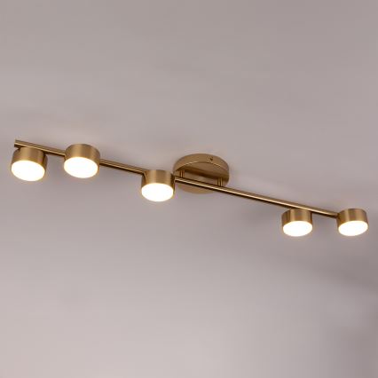 Точечный светильник PUNTO 5xGX53/12W/230V золотистый