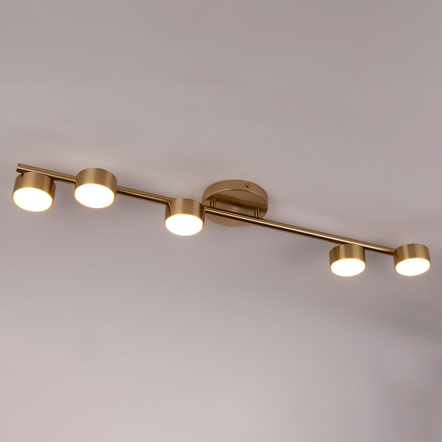 Точечный светильник PUNTO 5xGX53/12W/230V золотистый