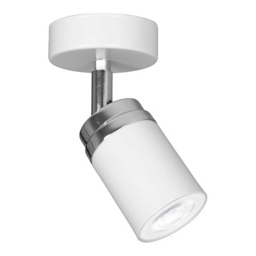 Точечный светильник RENO 1xGU10/8W/230V белый/блестящий хром