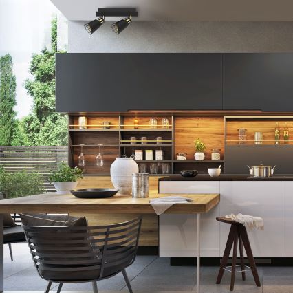 Точечный светильник RICK 2xE14/40W/230V