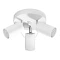 Точечный светильник RING 3xGU10/10W/230V белый