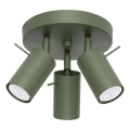 Точечный светильник RING 3xGU10/10W/230V зеленый
