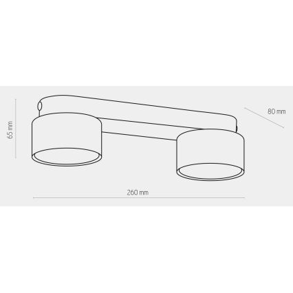 Точечный светильник SPACE GOLD 2xGX53/15W/230V