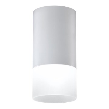 Точечный светильник TUBA 1xGU10/15W/230V серый/белый