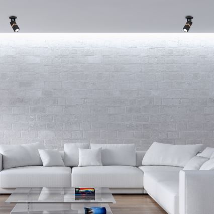 Точечный светильник VIDAR 1xGU10/25W/230V черный