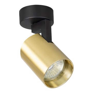 Точечный светильник VOLF 1xGU10/10W/230V золотый/черный