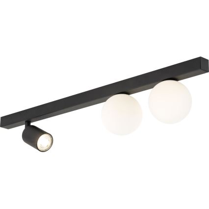 Точечный светильник VOX 2xG9/8W/230V + 1xGU10/10W черный