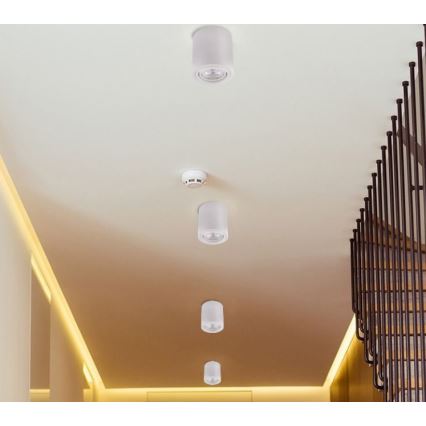 Точковий LED світильник TUBA 1xGU10/5W/230V 2700K білий