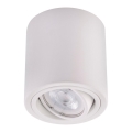 Точковий LED світильник TUBA 1xGU10/5W/230V 4000K білий