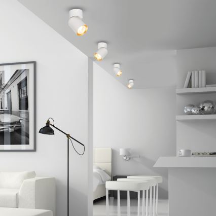 Точковий світильник ANDY 1xGU10/8W/230V білий/золотий