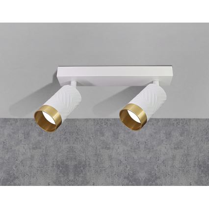 Точковий світильник ARRAS 2xGU10/10W/230V білий