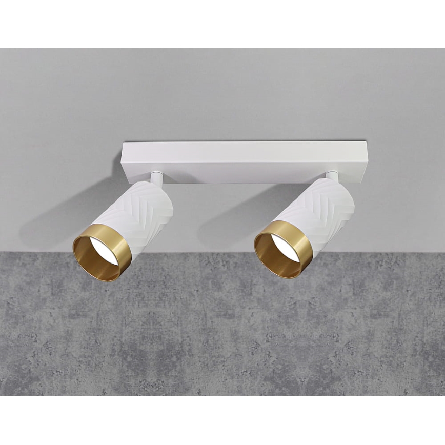 Точковий світильник ARRAS 2xGU10/10W/230V білий