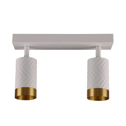 Точковий світильник ARRAS 2xGU10/10W/230V білий