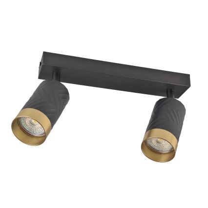 Точковий світильник ARRAS 2xGU10/10W/230V чорний