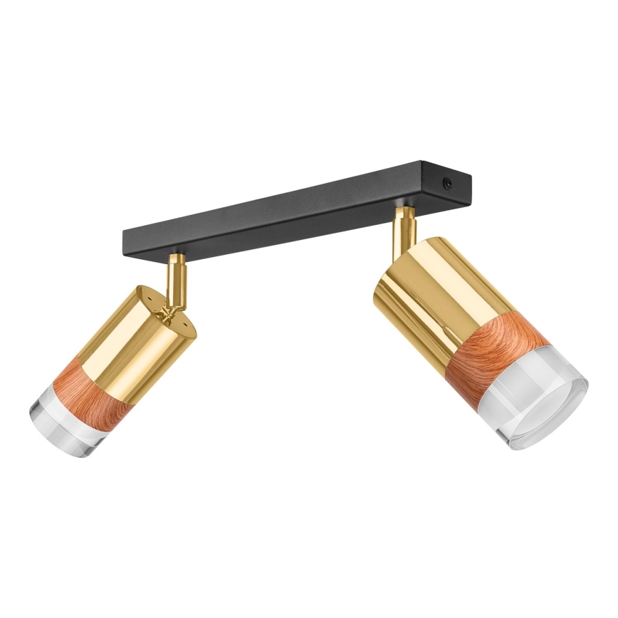 Точковий світильник AURORA 2xGU10/10W/230V