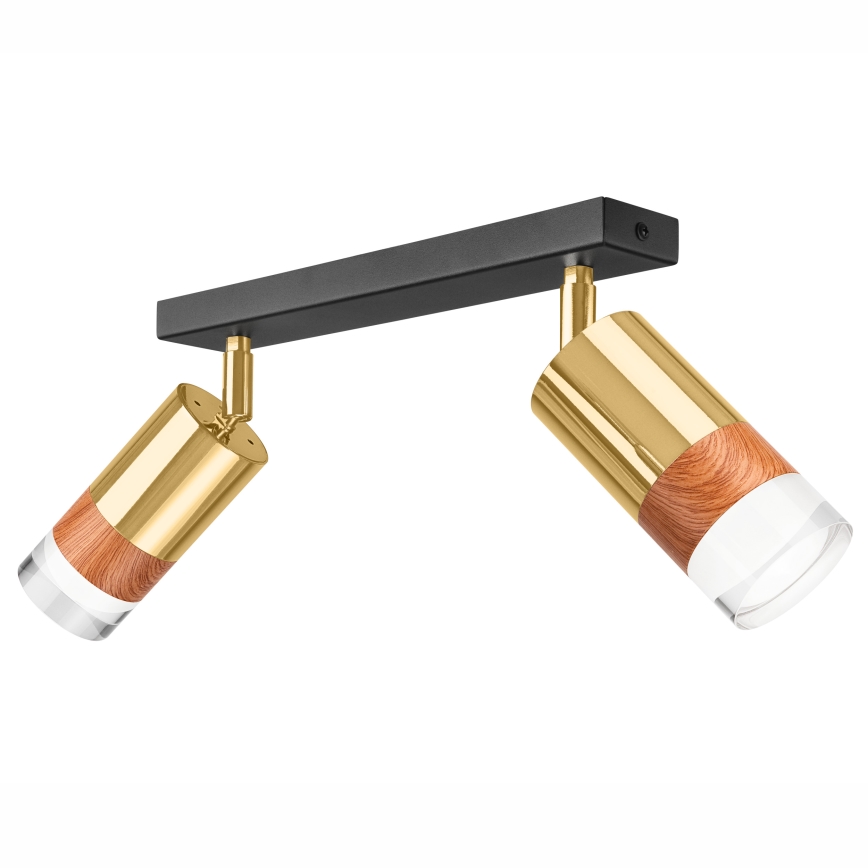 Точковий світильник AURORA 2xGU10/10W/230V