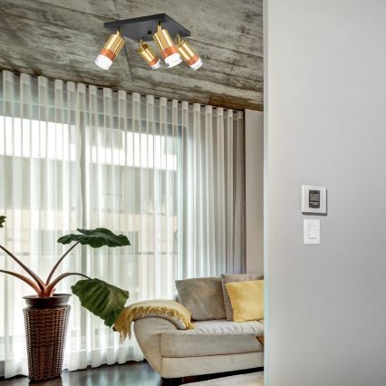 Точковий світильник AURORA 4xGU10/10W/230V