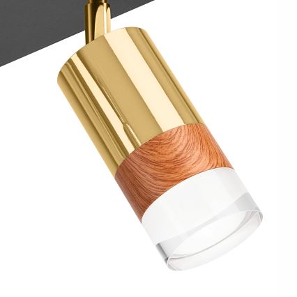 Точковий світильник AURORA 4xGU10/10W/230V