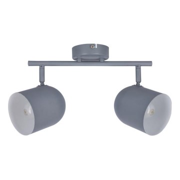 Точковий світильник AZURO 2xE27/40W/230V