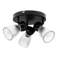 Точковий світильник BEST 3xE14/40W/230V чорний