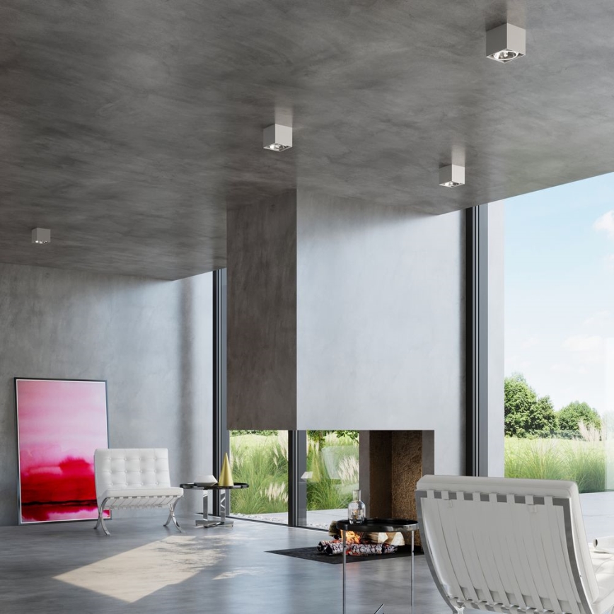 Точковий світильник BLAKE 1xGU10/40W/230V